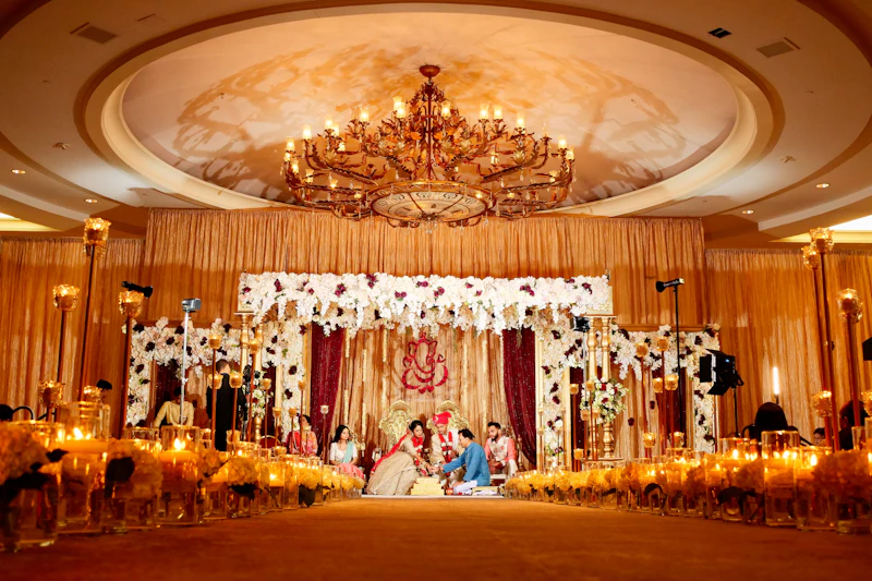 Corporate videography production and SME commercial video retainer in Hamilton and Auckland
